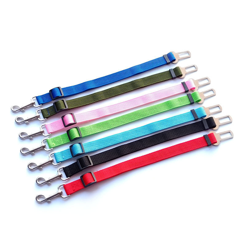 Set of colorful seat belt extensions on a white background