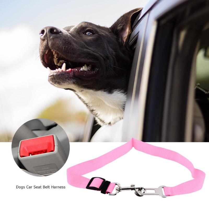 Dog with head out of car window, dog car seat belt harness, and pink leash displayed.