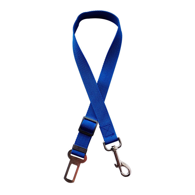 Blue dog leash with clip and buckle on a white background