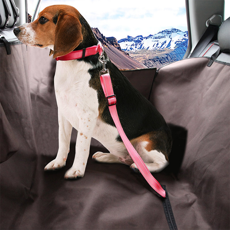 Dog on a pink harness sitting in a car with a scenic view outside